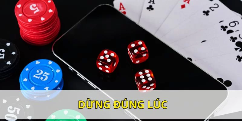 Thành viên cần biết dừng đúng lúc khi tham gia ba cây