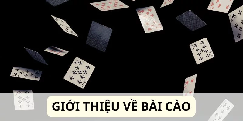 Sơ lược về bài cào