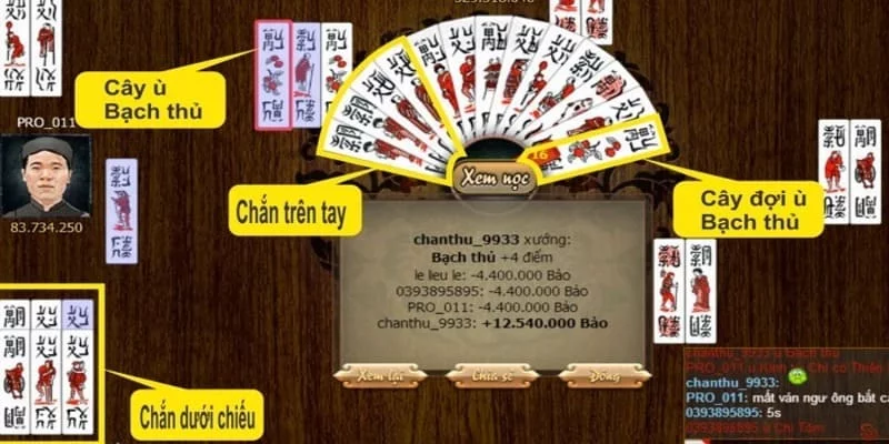 Bật mí cách chơi bài chắn hiệu quả từ a đến z 