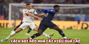 Bật mí cách soi kèo nhà cái chính xác tăng cơ hội thắng cược