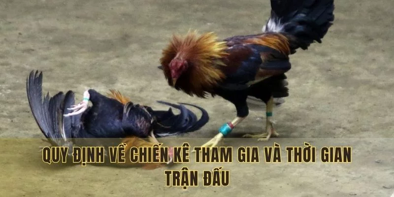 Quy định về chiến kê tham gia và thời gian trận đấu